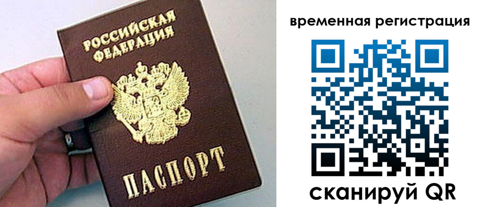 прописка гарантия в Первомайске